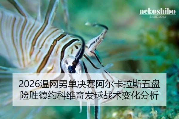 2026温网男单决赛阿尔卡拉斯五盘险胜德约科维奇发球战术变化分析