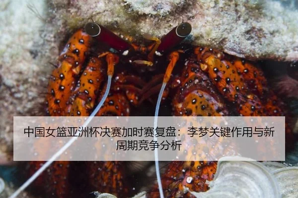 zhong-guo-nv-lan-ya-zhou-bei-jue-sai-jia-shi-sai-fu-pan-li-meng-guan-jian-zuo-yong-yu-xin-zhou-qi-jing-zheng-fen-xi-2-660.jpg